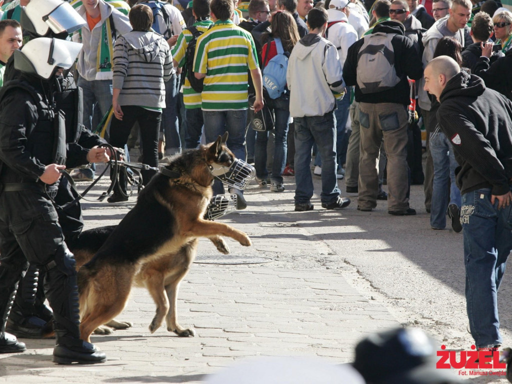 Zielonogórskie pociągi pod specjalnym nadzorem [GALERIA]