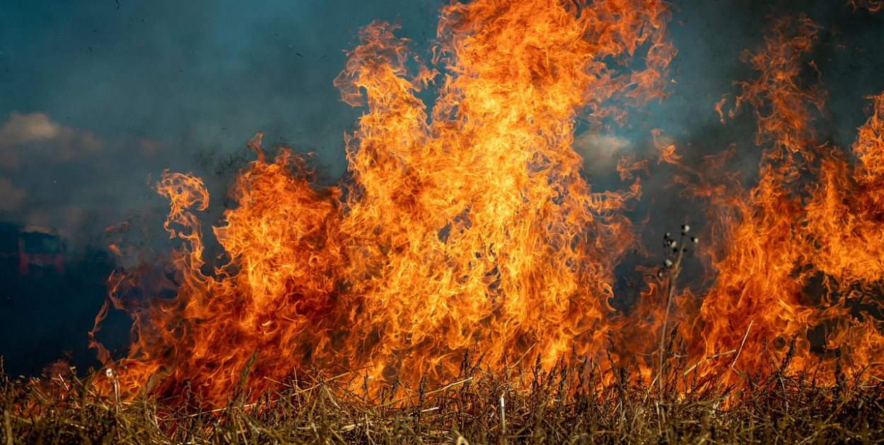 Obraz Matthias Fischer z Pixabay