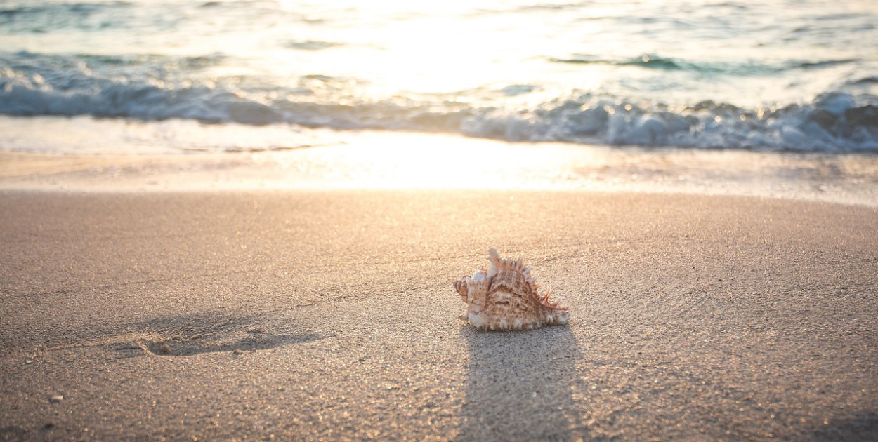 Image by seth0s from Pixabay